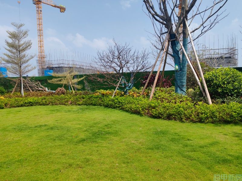 星河东悦府即将开盘