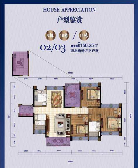 9.10栋02.03户型